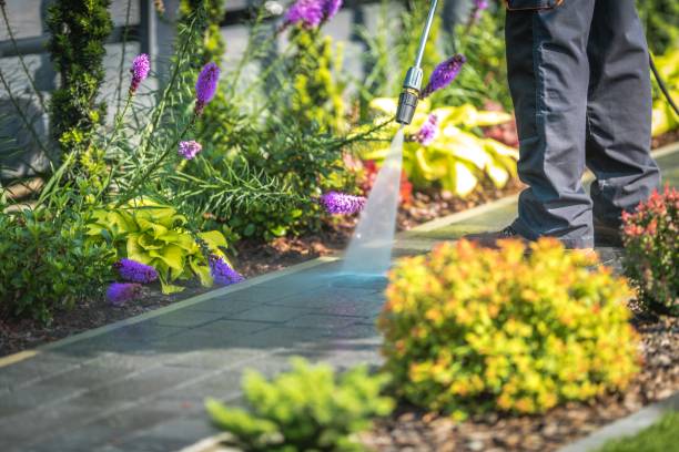 Trusted Santa Nella, CA Pressure Washing Services Experts